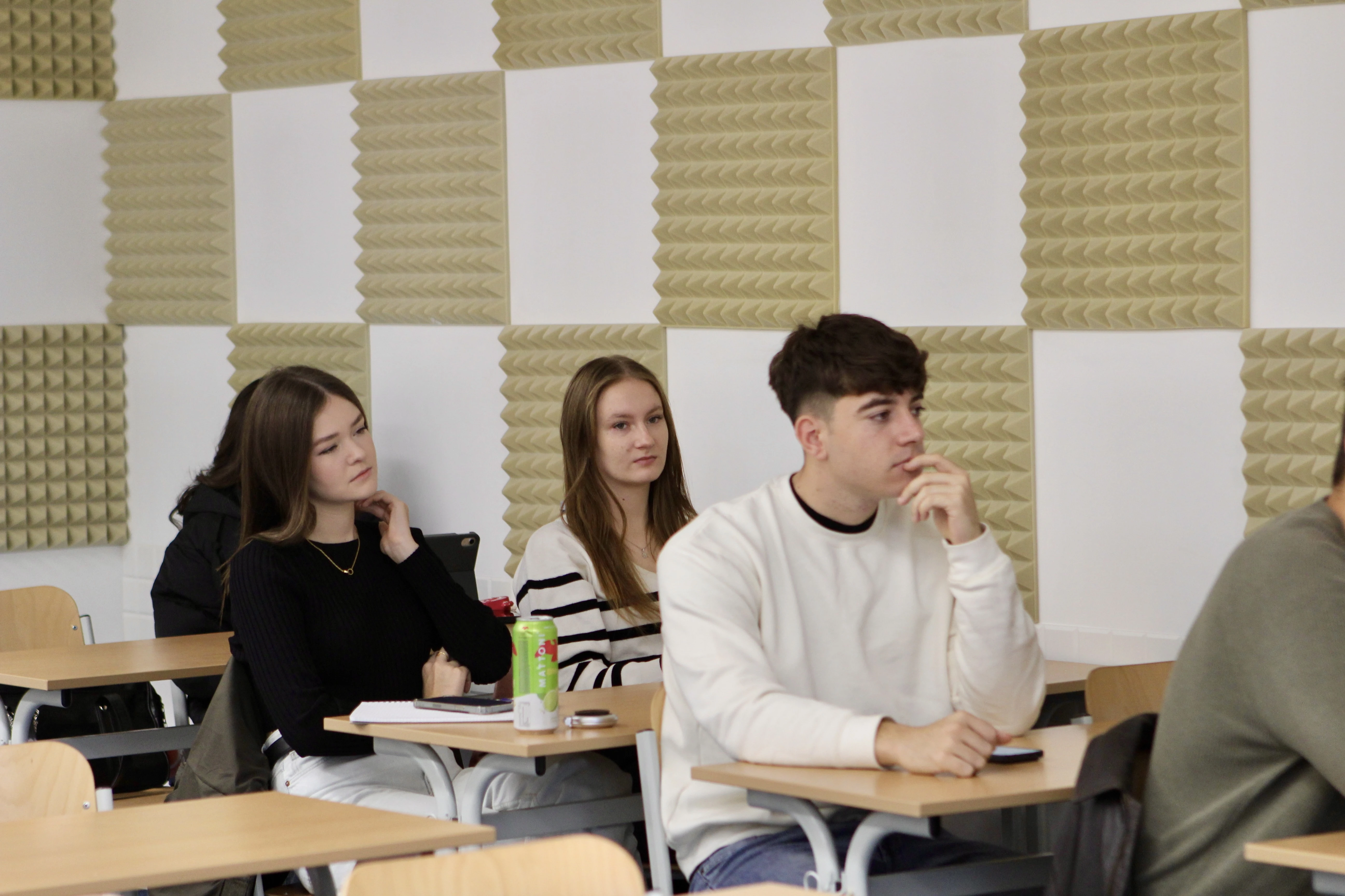 PREMIUM BRNO: Pre-exam crash course in Accounting for Managers