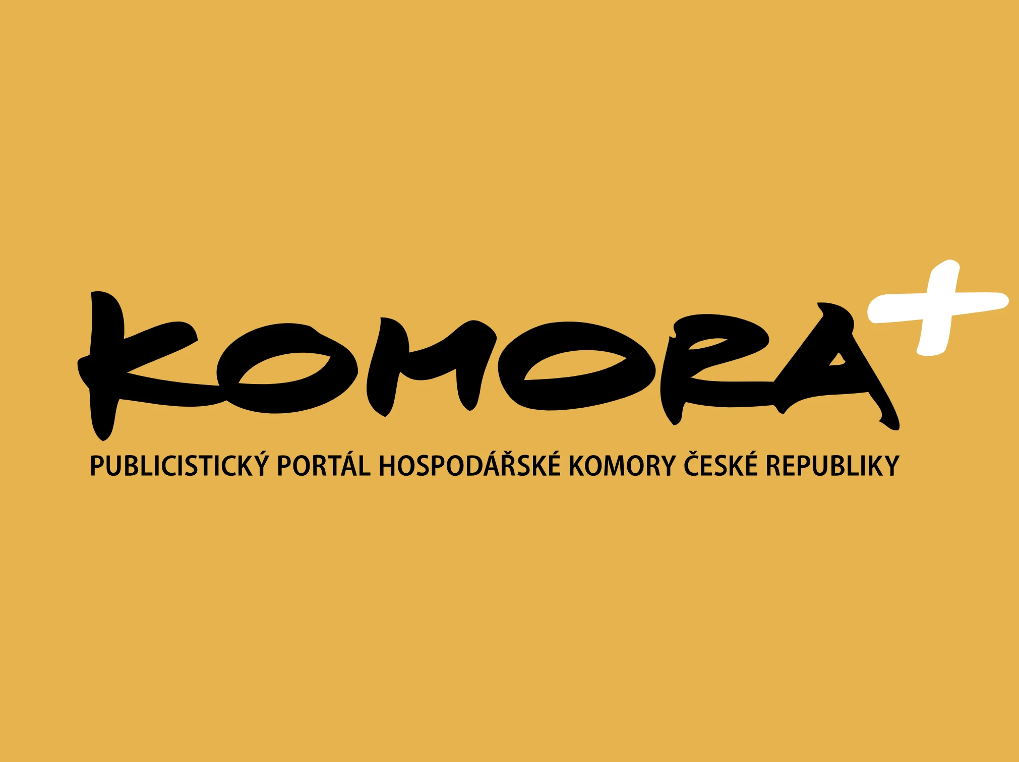 Skutečné vzdělávání začíná změnou postoje a přijetím odpovědnosti