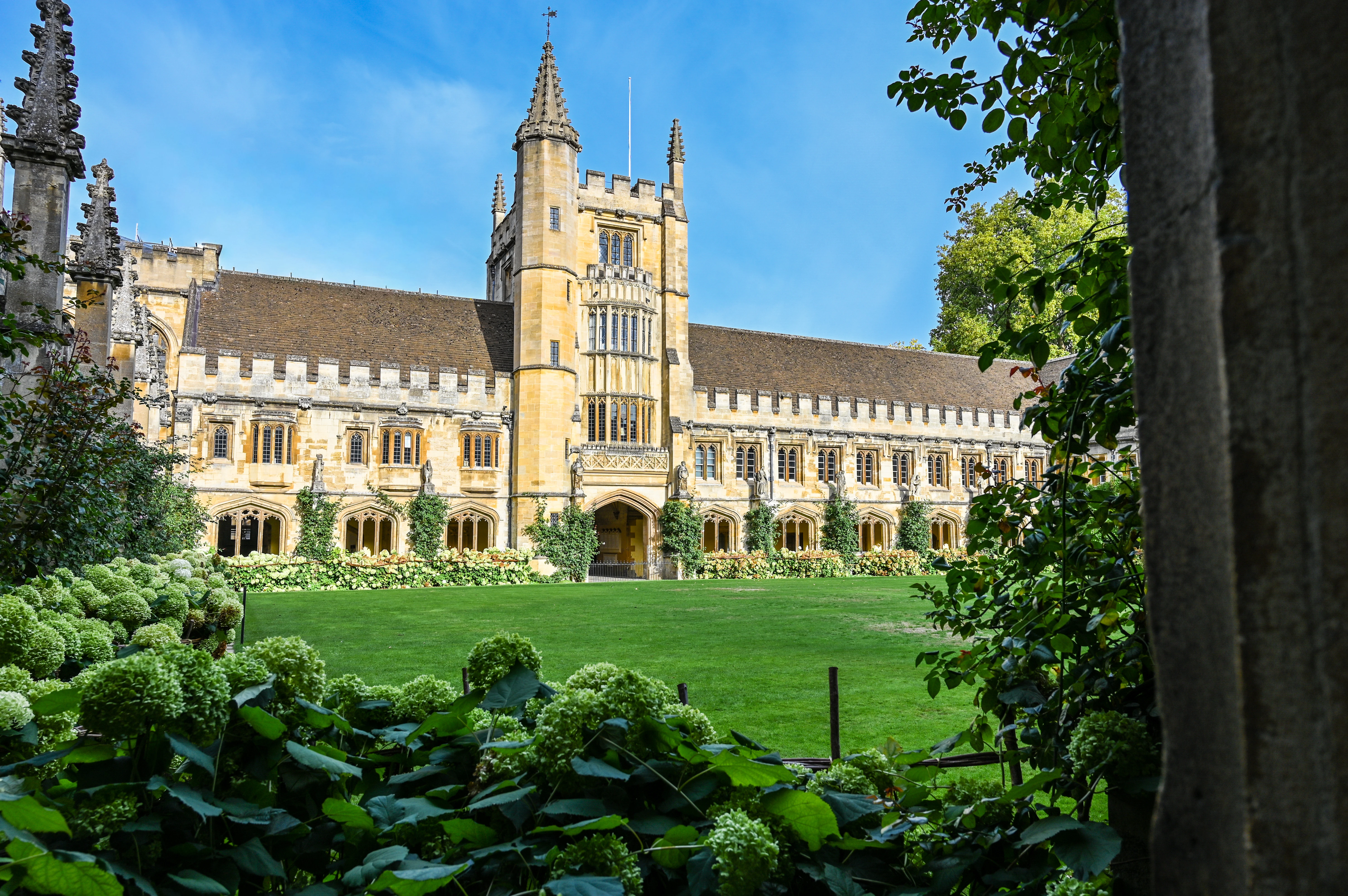 NEWTON in Oxford Summer School